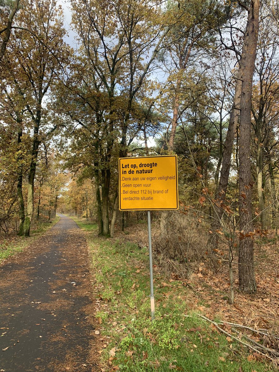 Rare jongens, die Brabo’s #regen #nat #DePeel