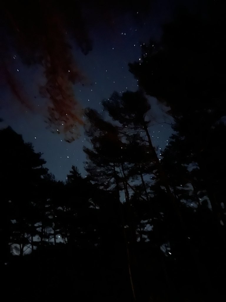 Shin_Palms's tweet photo. 寒い時期は星が綺麗だね https://t.co/nk3Ovfvgnd