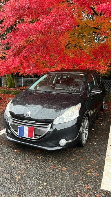 かつての愛車たちはラリーカーにもなっていたはず。306はもう一回乗りたい
 #みんなのラリーカーを見せてくれ 