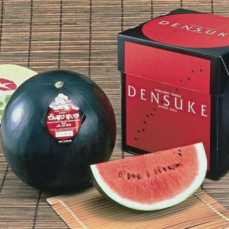 Humanbydesign3's tweet photo. #Densuke
The most expensive watermelons in the world from $250 to $6000🤦♂️🤦♂️🍉🍉🍉 https://t.co/ETUEpgun95
