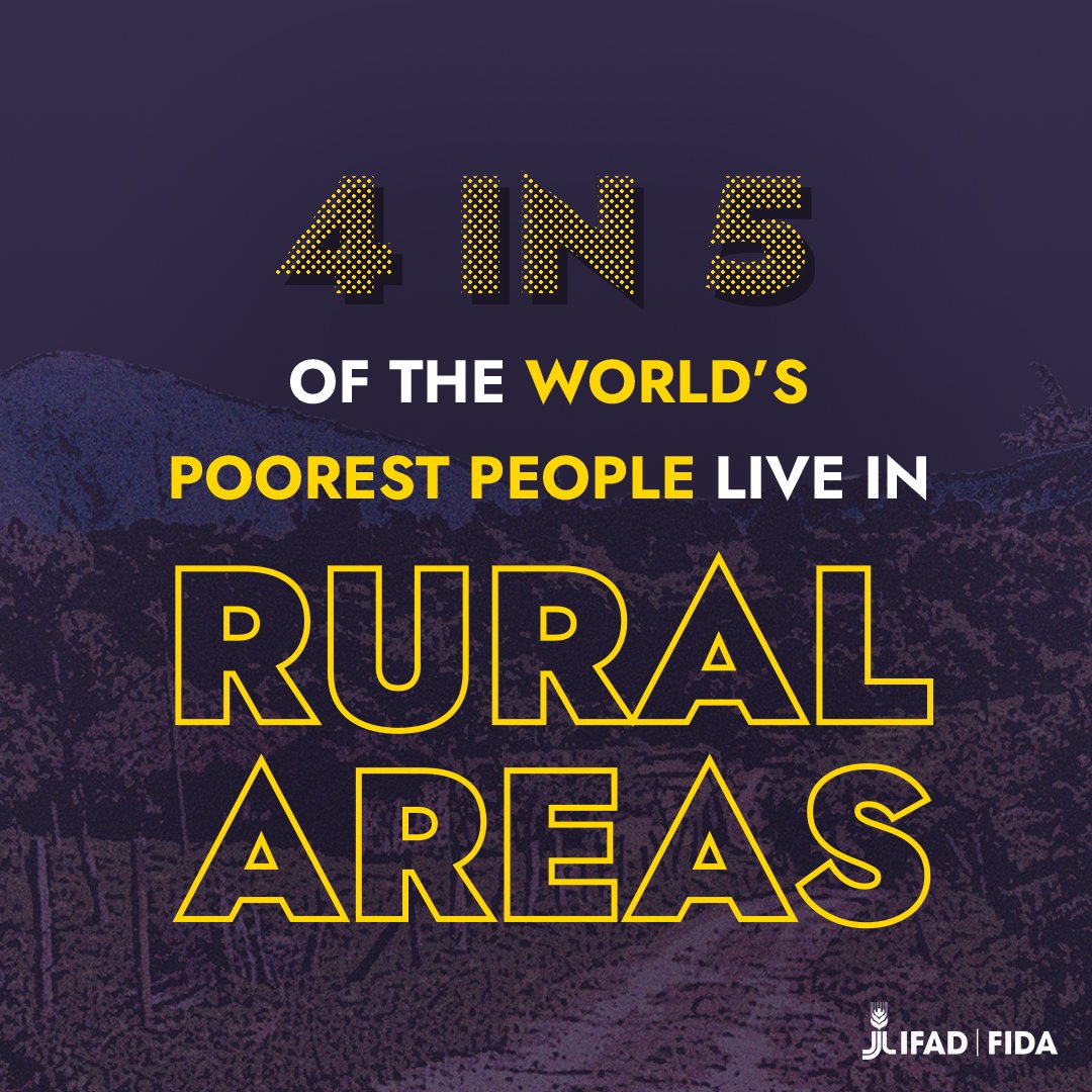 A new day is possible. But only if we make the right choices now.

As multiple crises converge — from climate change to pandemics to conflict — rural people need us to invest in them more than ever before.