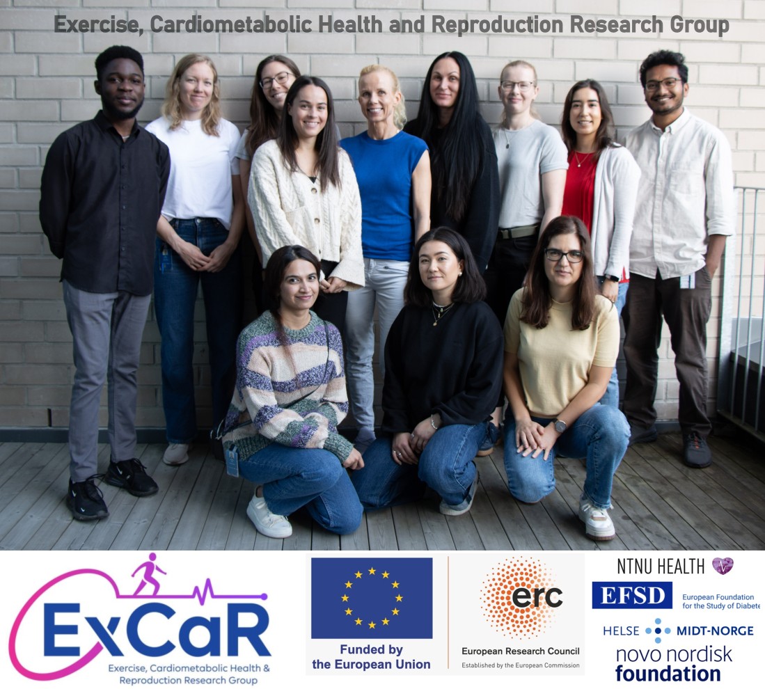 At ExCar, NTNU, we are all about boosting health and fighting lifestyle diseases through innovative exercise and diet ideas. Our team focuses exercise and reproductive health. Learn more @ excar.info
#Health #wellness  #exercise