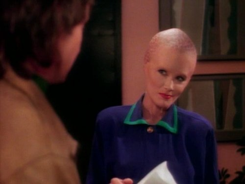 HariSeldn tweet media