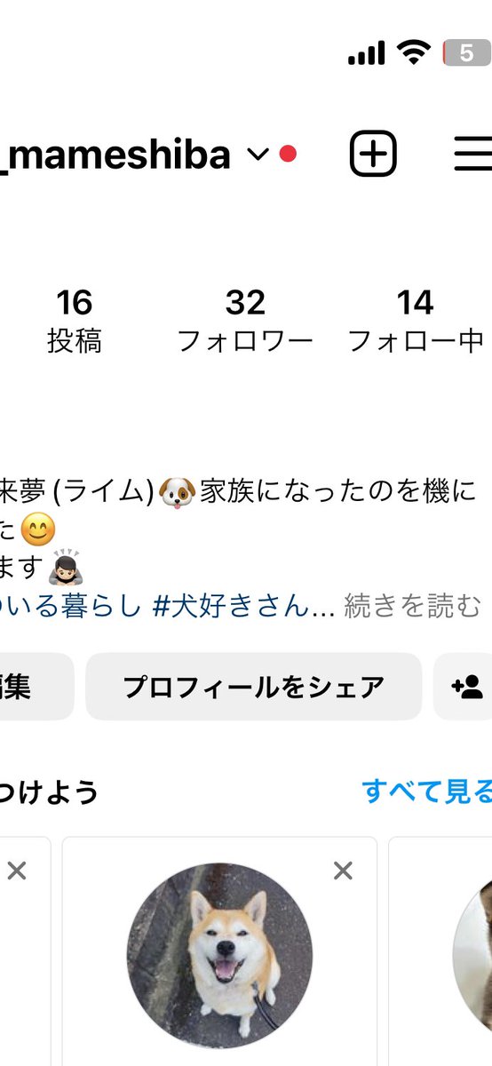 インスタのライムアカ🐶今朝までフォロワーさん3人だったのに😳