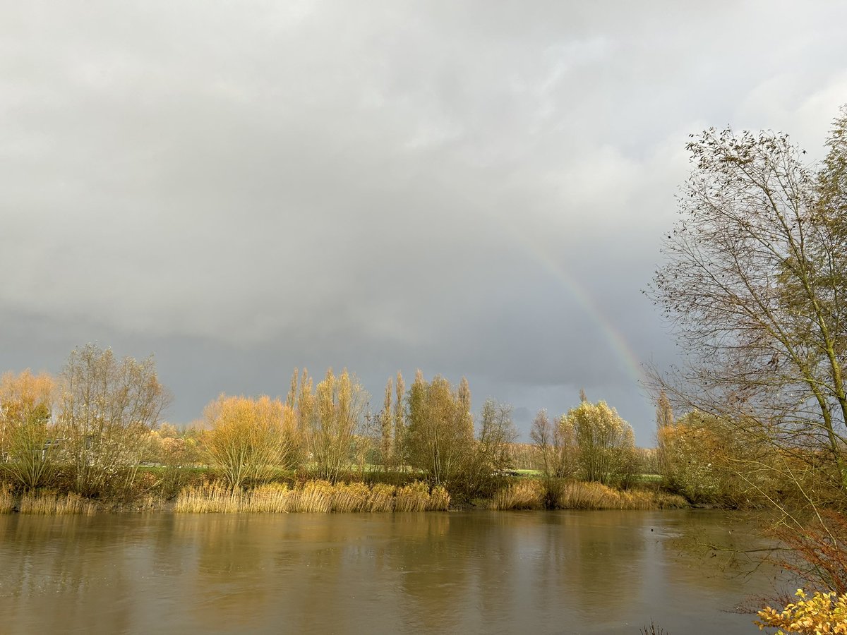 RemueThomas's tweet photo. #vrtweer #NaturePhotograhpy 
@Weerbord @MeteovistaBe @HetweerinBelgie 
Schelde Melle, 19/11/2023, 15:16, https://t.co/a7u7xZ0Kp6