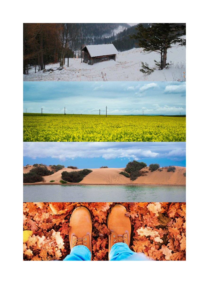 Seasons collage '20