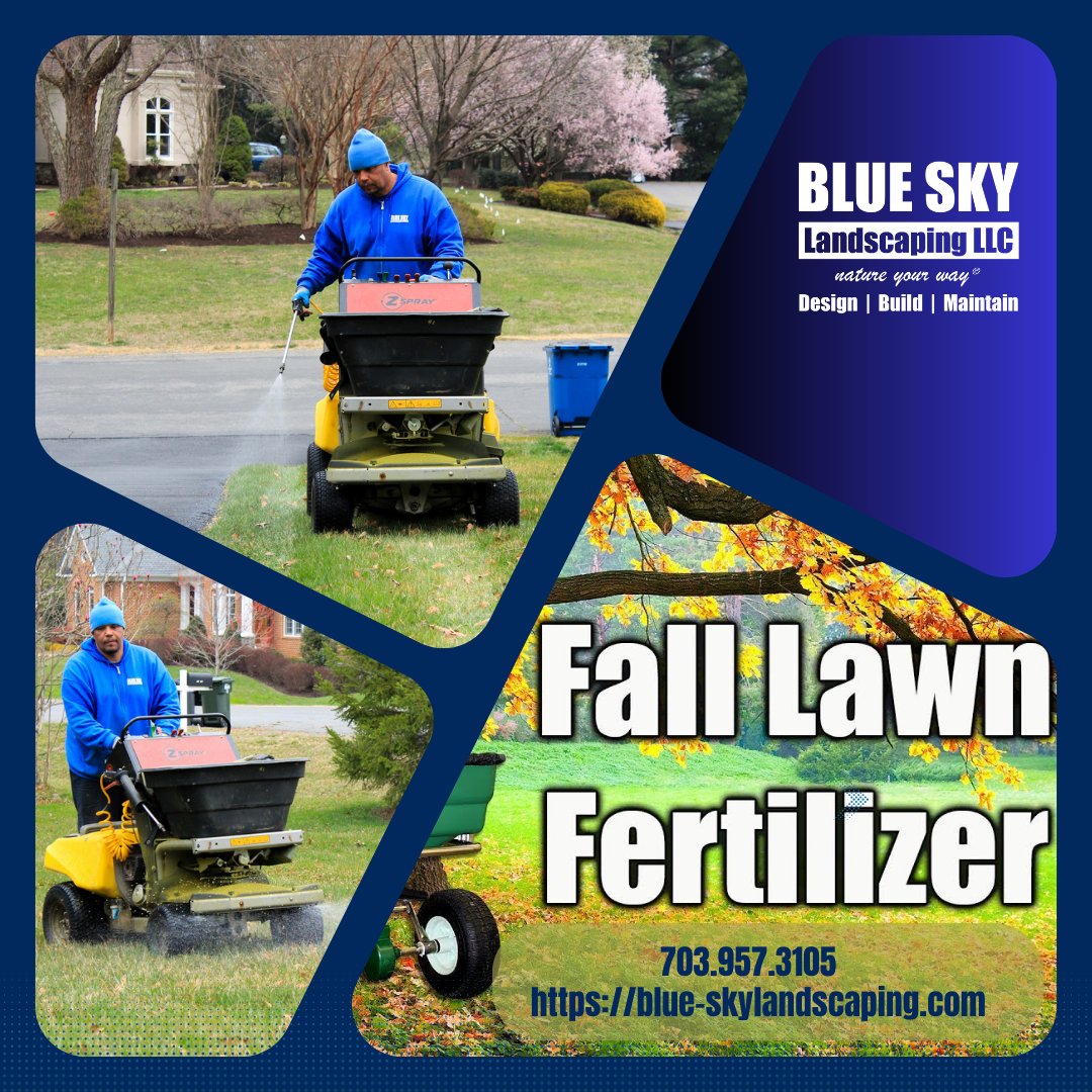 From fertilizer applications, treatments for weeds, lawn pests, lawn aeration, and more, count on Blue Sky Landscaping to maintain a healthy green lawn all year! 

blue-skylandscaping.com/commercial-tur… 

#fertilizer #aeration #pestcontrol #weedcontrol #lawncare #turf #turfcare #workinloudoun