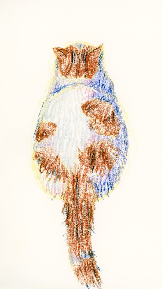 金絲花卷 (@maki_h720) on Twitter photo 