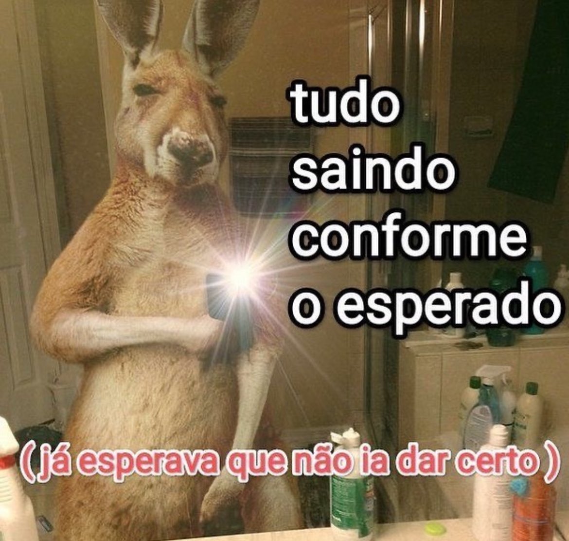 memes da vida (@memesdasuavida) on Twitter photo 