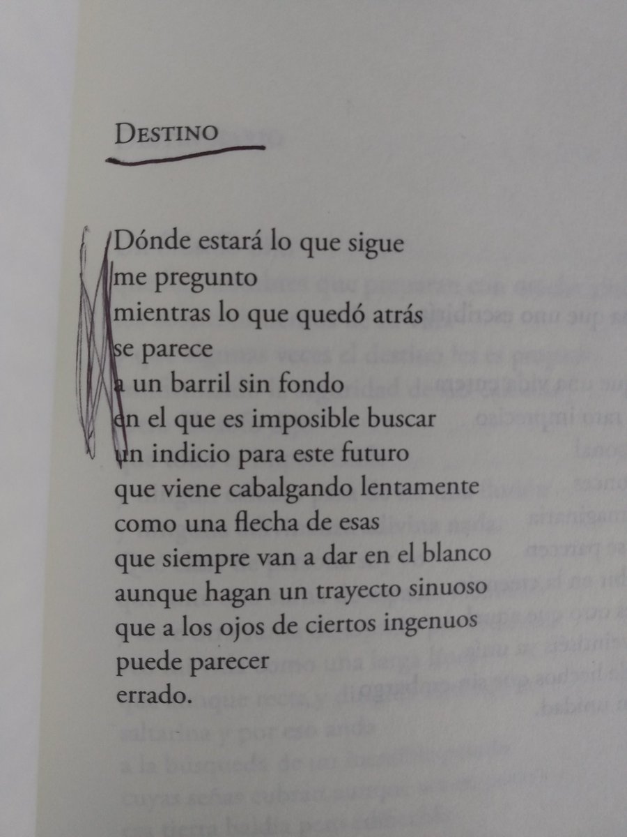 la gran tamara kamenszain