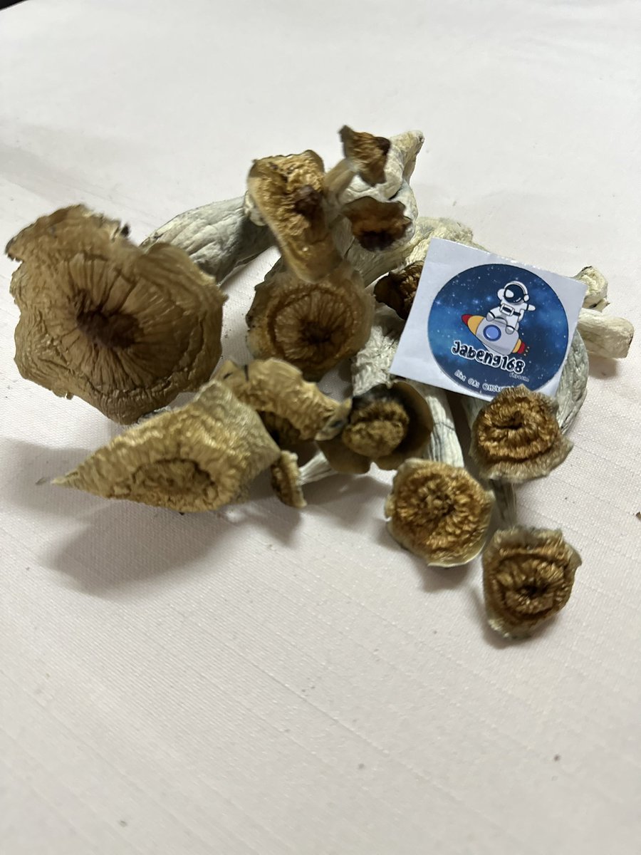 JaBeng168v2's tweet photo. 👉 Line ID: @110kcxvu

🙂 : Golden Teacher
🥹 : PENIS ENVY NO.6
😰 : AA
😱 : MMRxAPE
🥶 : APE
💊 รับทำแคปซูลนะครับตั้งแต่ 5G ขึ้นไป
ยินดีให้คำปรึกษานะครับ
#เขียว #ทริป #เมา #กทม #กัญชาog #weed #420community #Psychedelic #เห็ดวิเศษ #mushrooms #lsd #magicmushroom #fullmoon #สมุย https://t.co/uj5ql1tset