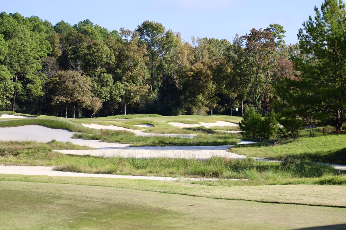 DanDrullinger's tweet photo. Still feeling like Fall here in Texas. 

📍Whispering Pines (Chet Williams) https://t.co/01tIEBcwnO