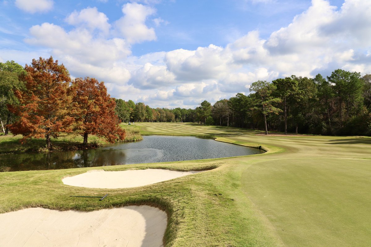 DanDrullinger's tweet photo. Still feeling like Fall here in Texas. 

📍Whispering Pines (Chet Williams) https://t.co/01tIEBcwnO