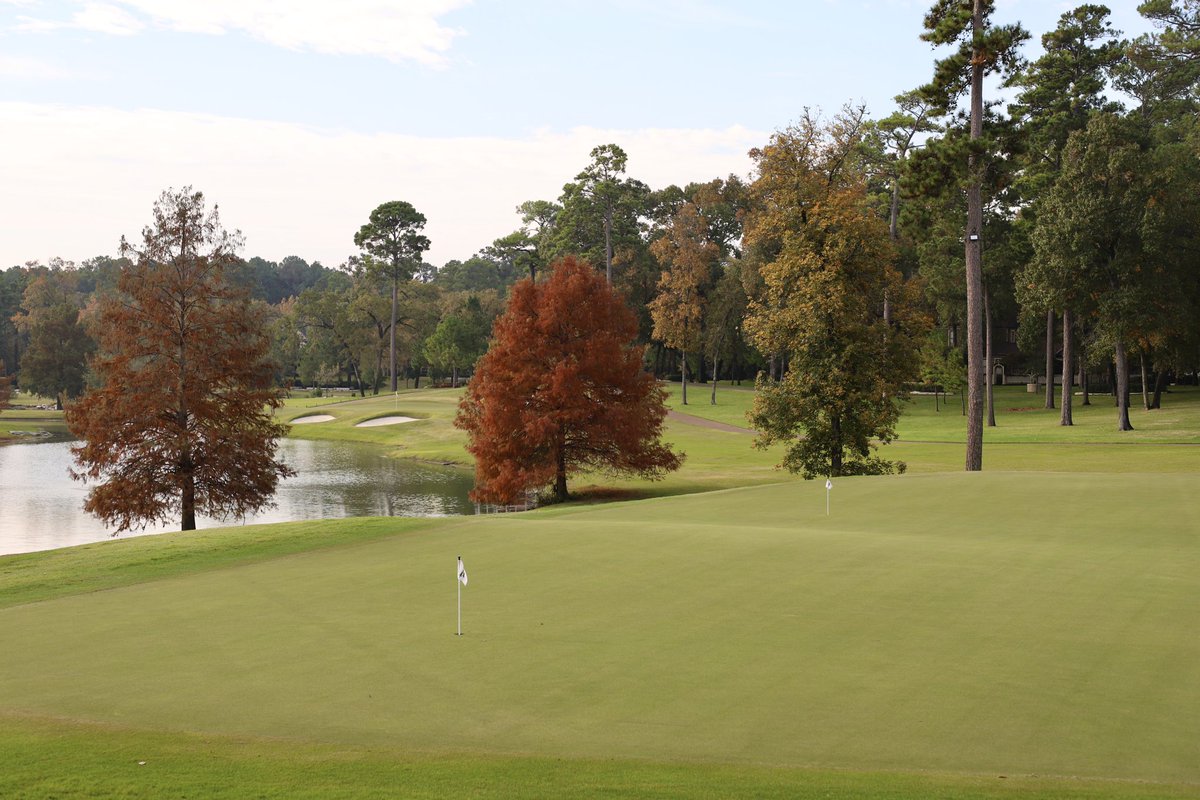 DanDrullinger's tweet photo. Still feeling like Fall here in Texas. 

📍Whispering Pines (Chet Williams) https://t.co/01tIEBcwnO