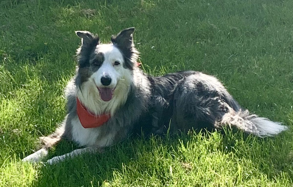 Kathy O'R. tweet media