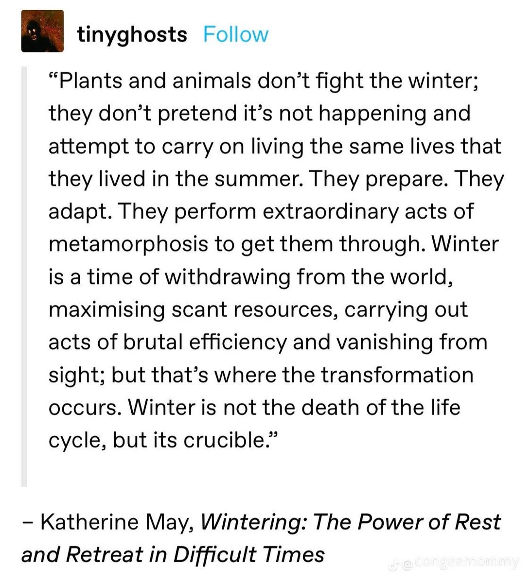 appadappajappa's tweet photo. From one of the most beautiful reads of 2023. Please do read Wintering by Katherine May 🌸✨ https://t.co/3AGxghh5VY