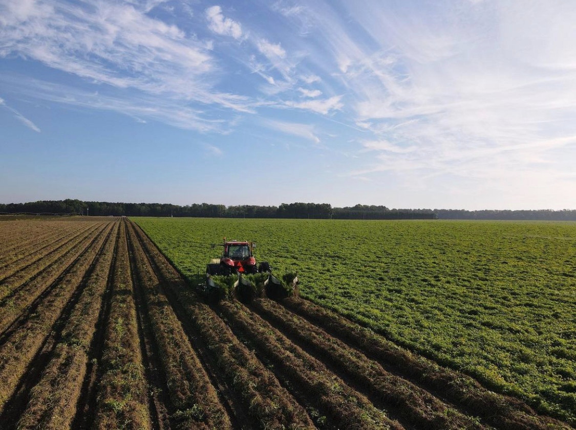 NCpeanuts's tweet photo. Now that's a great view of South Carolina peanut harvest! π
Follow @scpeanutgrowers' new page for all the latest updates from our South Carolina peanut farmers and retailers. π₯ π
πΈ: @scfarmbureau
#VirginiaCarolinasPeanutsPromotions #scpeanuts #scagriculture https://t.co/pb8Q1IjhWj