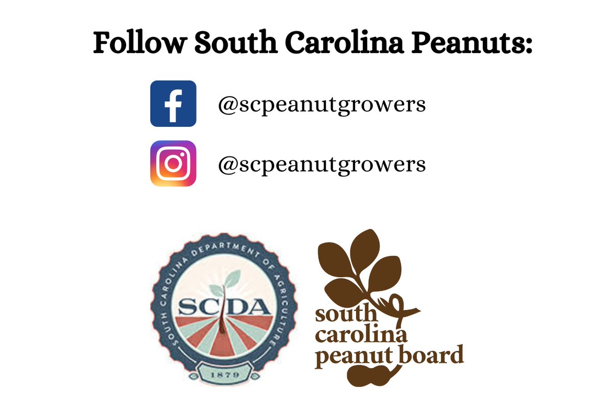 NCpeanuts's tweet photo. Now that's a great view of South Carolina peanut harvest! π
Follow @scpeanutgrowers' new page for all the latest updates from our South Carolina peanut farmers and retailers. π₯ π
πΈ: @scfarmbureau
#VirginiaCarolinasPeanutsPromotions #scpeanuts #scagriculture https://t.co/pb8Q1IjhWj