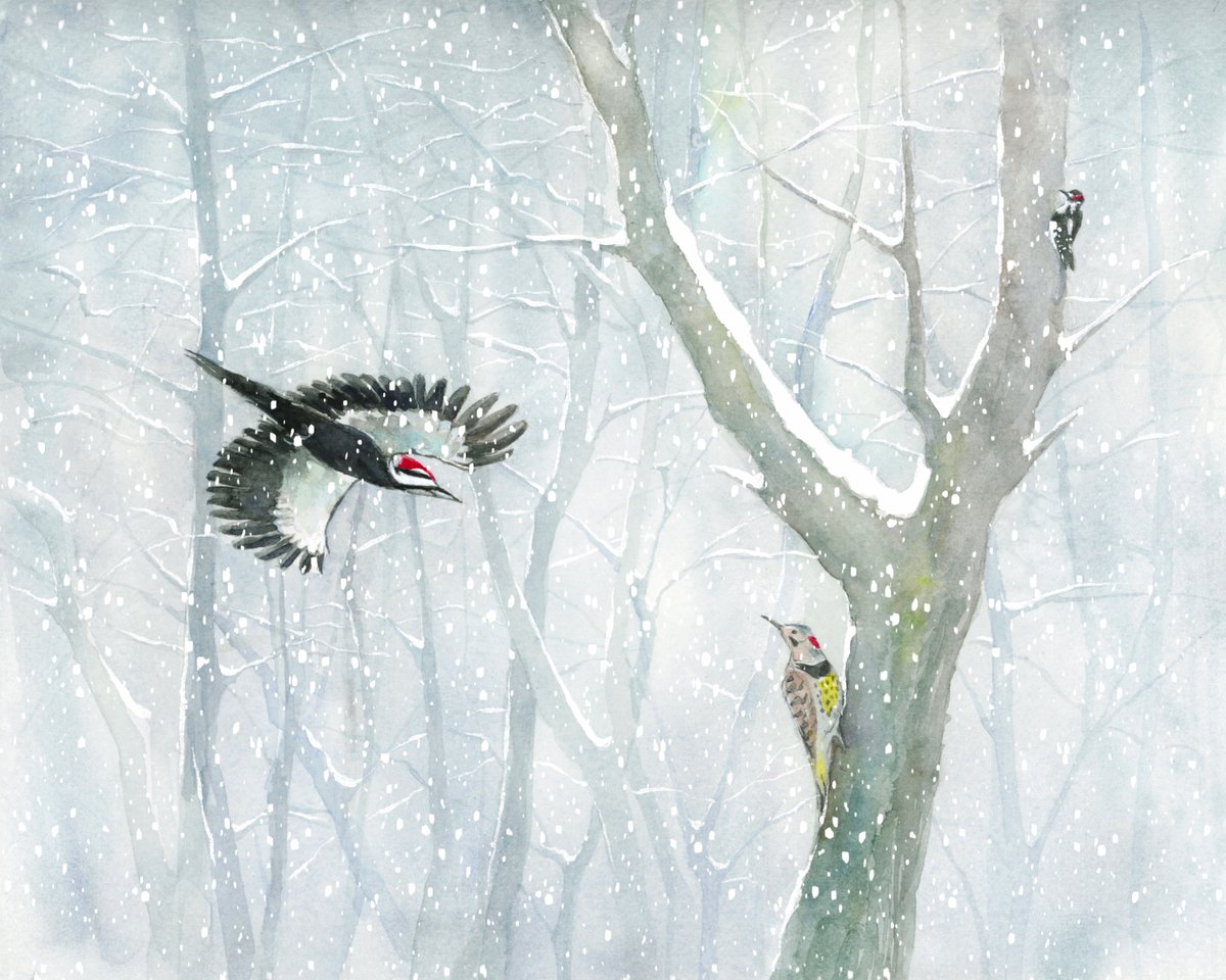 Sneak peek from my Birds in Watercolour 2024 #calendar. This is probably my favourite painting of the year. Almost ready to print! #woodpeckers
