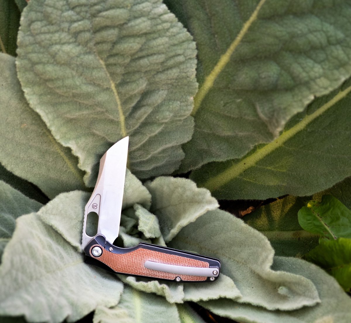 The blooming of the Kansept Tuckamore plant. #edc #edcknife #pocketknife #knifelife #newknife