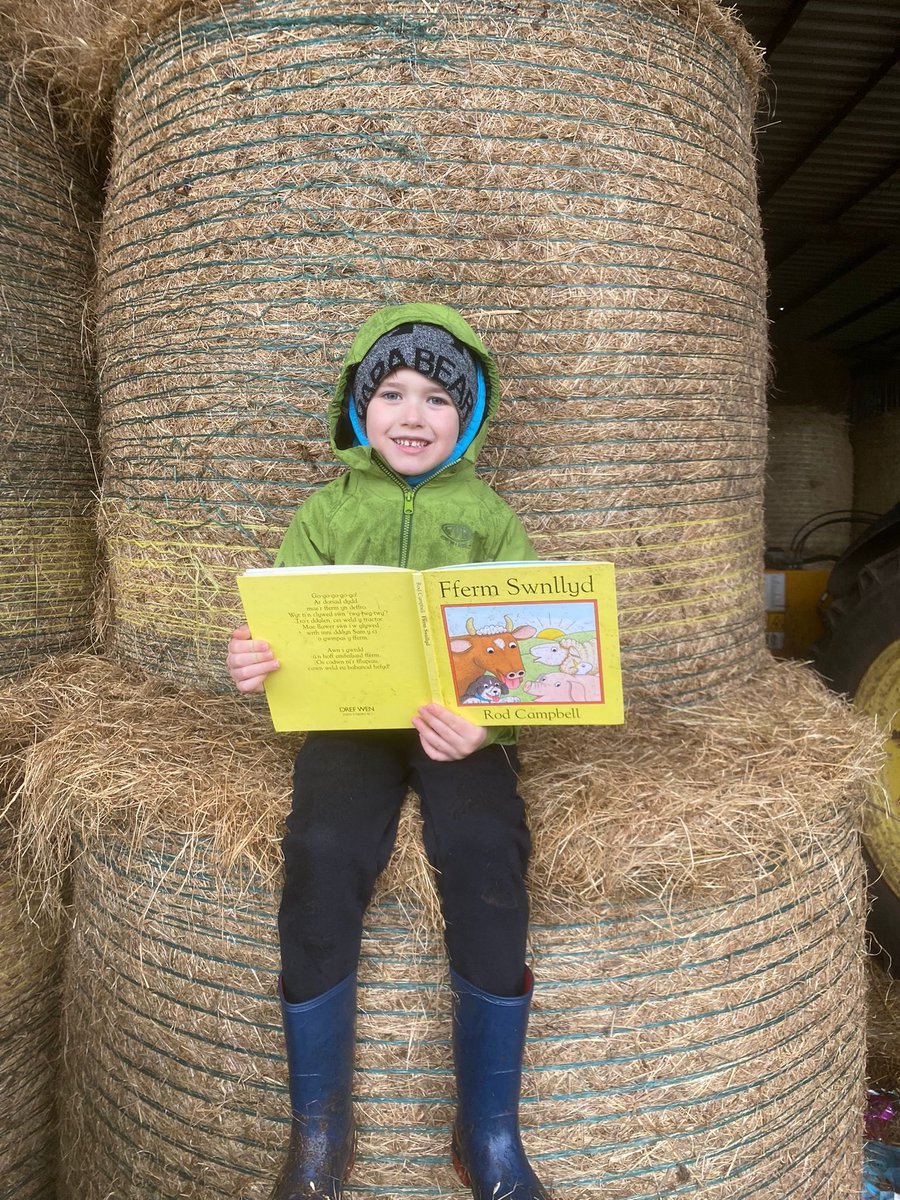 eleri118's tweet photo. @penalltau @MrsLRees1 @mrsj_p  D yn dwli darllen llyfr am y fferm tra ei fod e ar y fferm!🐄🚜 https://t.co/3ZFYYeZezh