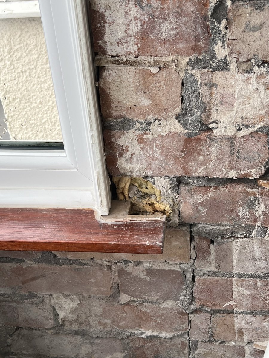 YNWA_Kaiser's tweet photo. The more I knock off these walls the more I see that looks bad.   I dont know who fitted these windows but they used a couple of rags to seal a few gaps and some polyfilla to try to fill a huge hole.  No wonder there has been damp getting in for years.

#cowboybuilders https://t.co/E8gzxKWM3O