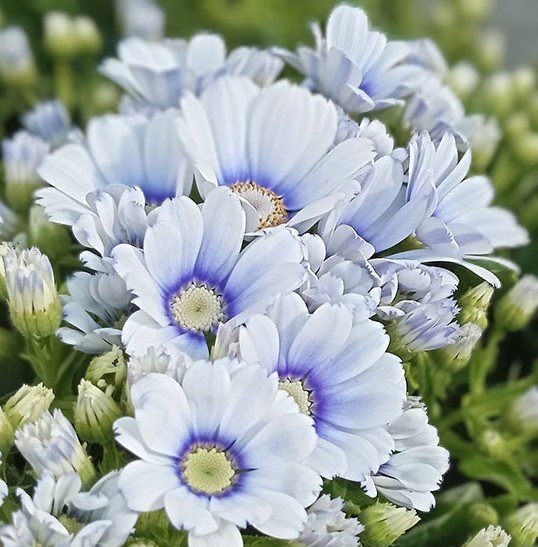 `
｡.*.｡.:*  よい日に

                      なりますように   *.｡.:*・☆*

 #今週も宜しくお願いします 
 #優しいつながりに感謝