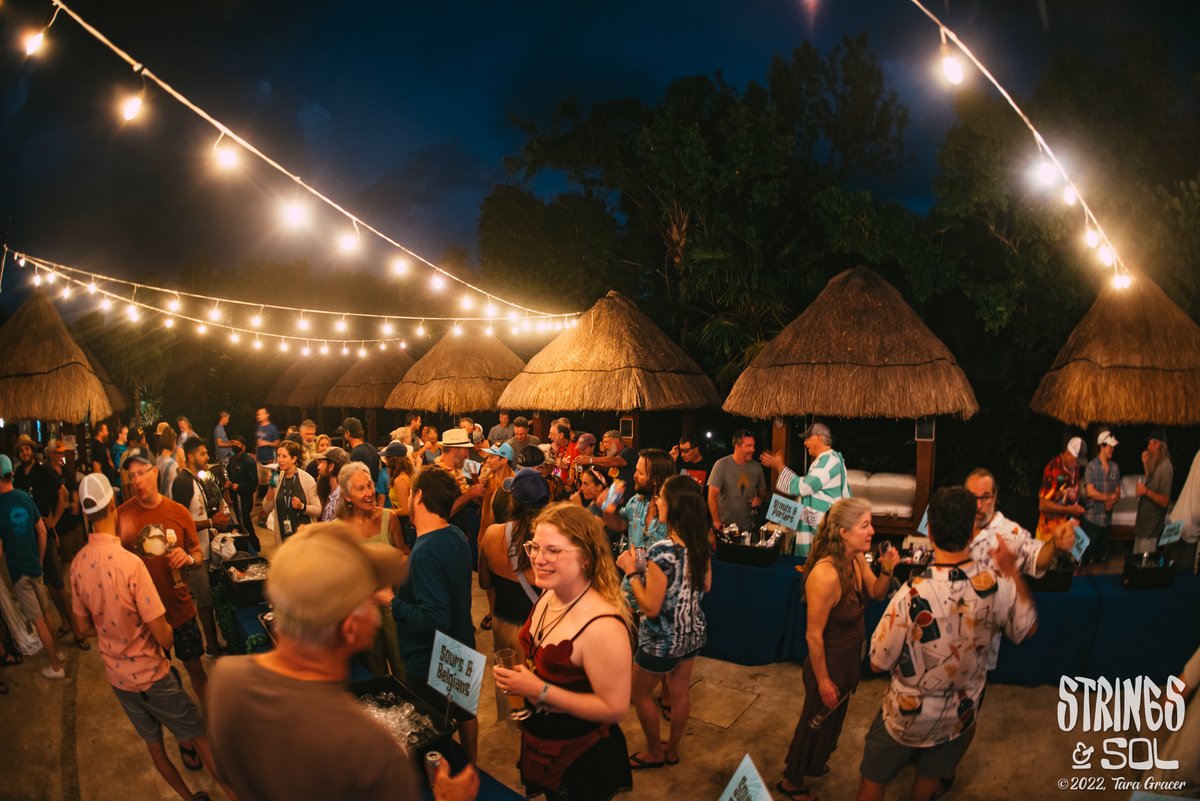 Strings & Sol tweet media