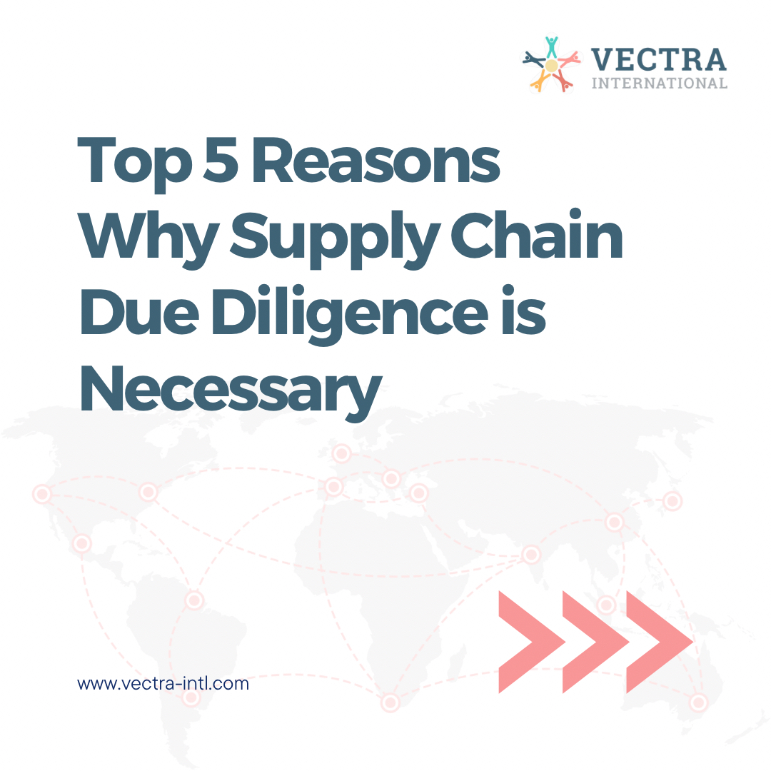 TeddContact's tweet photo. Want to learn more about Supply Chain Due Diligence? Read our latest blog - https://t.co/T4N2BVvVN0

#SupplyChainManagement #BusinessStrategy #Sustainability #RiskManagement #ResponsibleBusiness #SmallBusiness #SMEs #CorporateResponsibility #EthicalSourcing #GlobalTrade https://t.co/MZbJF7Jy7y