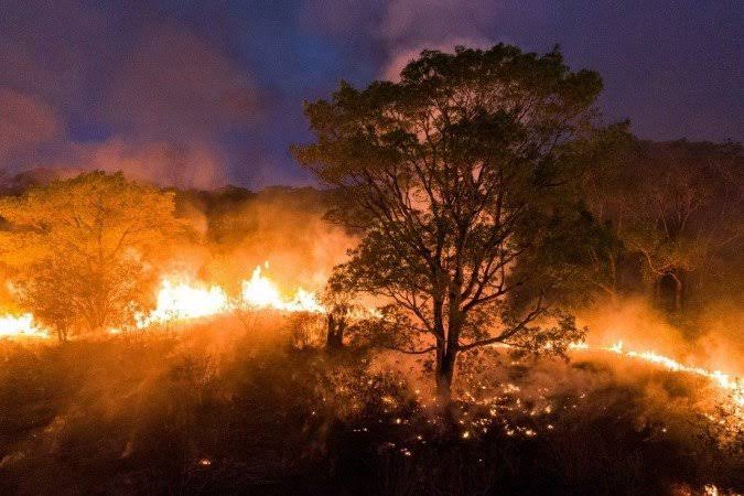 o pantanal está em cinzas, animais mortos e mt fauna sendo perdida pelo fogo, precisamos acordar e pedir por ajuda, o governo de olho fechado pra isso td, a mídia ent nem se fale, e as queimadas estão acontecendo desde OUTUBRO

O PANTANAL PRECISA DE AJUDA