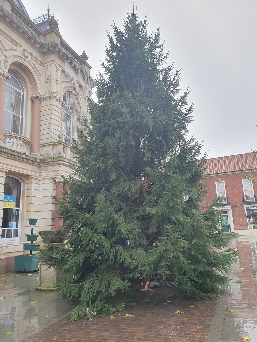 thatgirlcomms's tweet photo. Two towns and two trees now in place just waiting for the lights to go on next weekend at the switch on events. Merry Christmas Retford &amp; Worksop! @BassetlawDC @NorthNottsBID @NorthNottsBC @totallylocally4 https://t.co/2pNe17wKJI