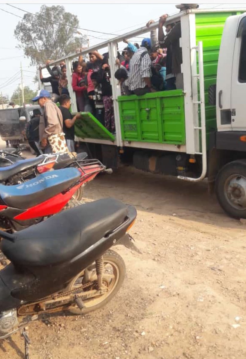 javierlanari's tweet image. Así llevan a votar a los pueblos originarios en el norte. Los tratan como ganado. Los años pasan. Las malas prácticas y el clientelismo permanecen...