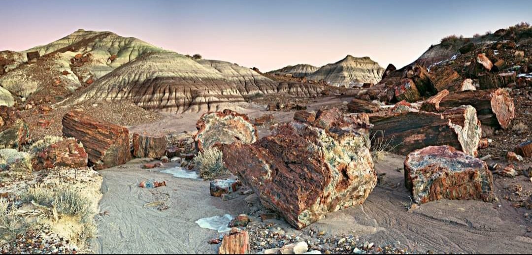 Jasper Forest. Credit NPS/Andrew V. Kearns. (hl) #scenery #scenic #PetrifiedForest #petrifiedforestnationalpark #artistinresidence #nationalpark