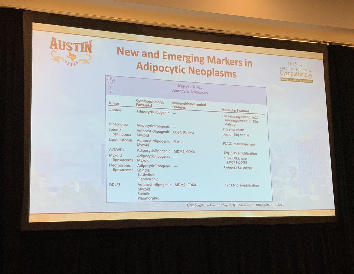 Helen Zhang, MD (@helenzhangmd1) on Twitter photo Our special speaker <a href="/Sinchita_Roy/">Sinchita Roy MD PhD</a> Dr. Roy for <a href="/CAPA_comm/">Chinese American Pathologists Association</a> companion meeting at #ASCyto2023 #PathTwitter Our special speaker <a href="/Sinchita_Roy/">Sinchita Roy MD PhD</a> Dr. Roy for <a href="/CAPA_comm/">Chinese American Pathologists Association</a> companion meeting at #ASCyto2023 #PathTwitter