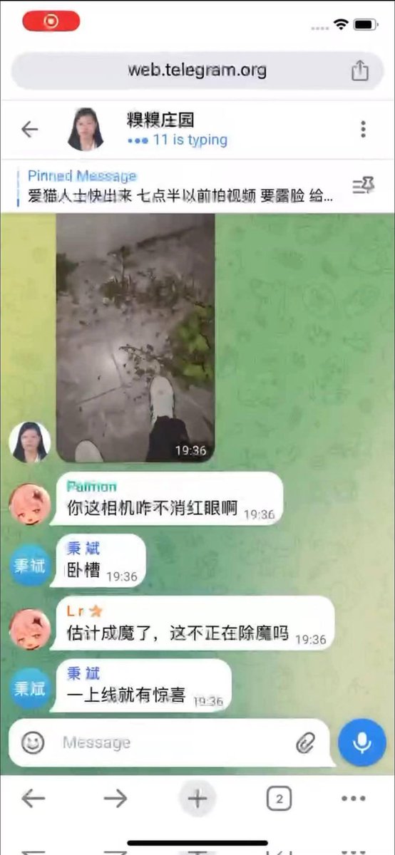 FGuardiansJapan's tweet photo. STOP! Selling Cat Abuse Videos in China
Take action to impose a severe punishment on animal abuse!
#gatto
#catabuserschina
#China
#Cloudflare#牛猫 https://t.co/BRjZhjlyGd