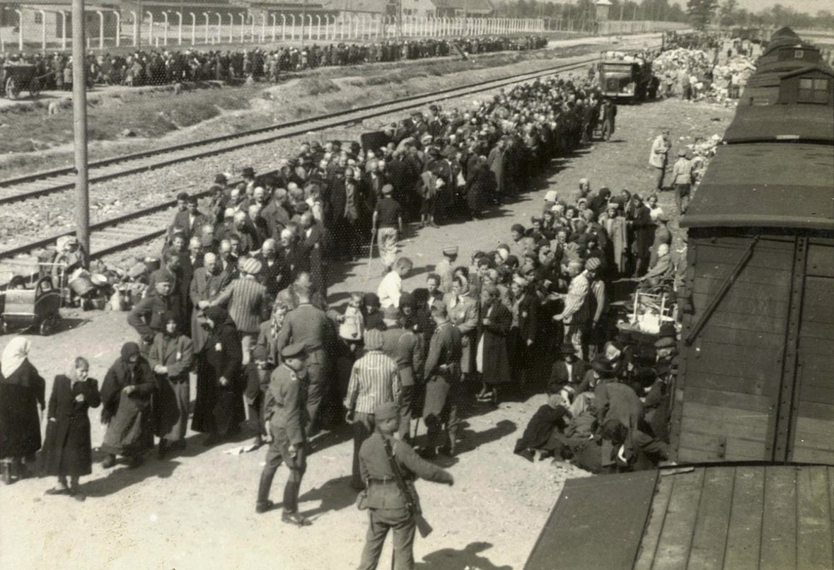 Scott Genzer tweet media