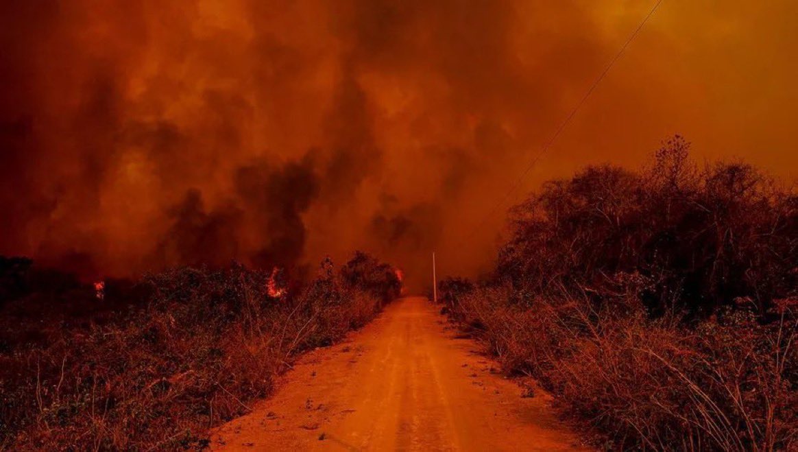 updatecultura's tweet photo. O Pantanal está em chamas. Incêndios devastadores estão consumindo essa importante região do BR, lar de muitas espécies e um berço de biodiversidade. É desolador ver esse cenário se repetir, prejudicando a fauna, a flora e todo o equilíbrio ambiental.

O PANTANAL PRECISA DE AJUDA https://t.co/apBmxaX21A