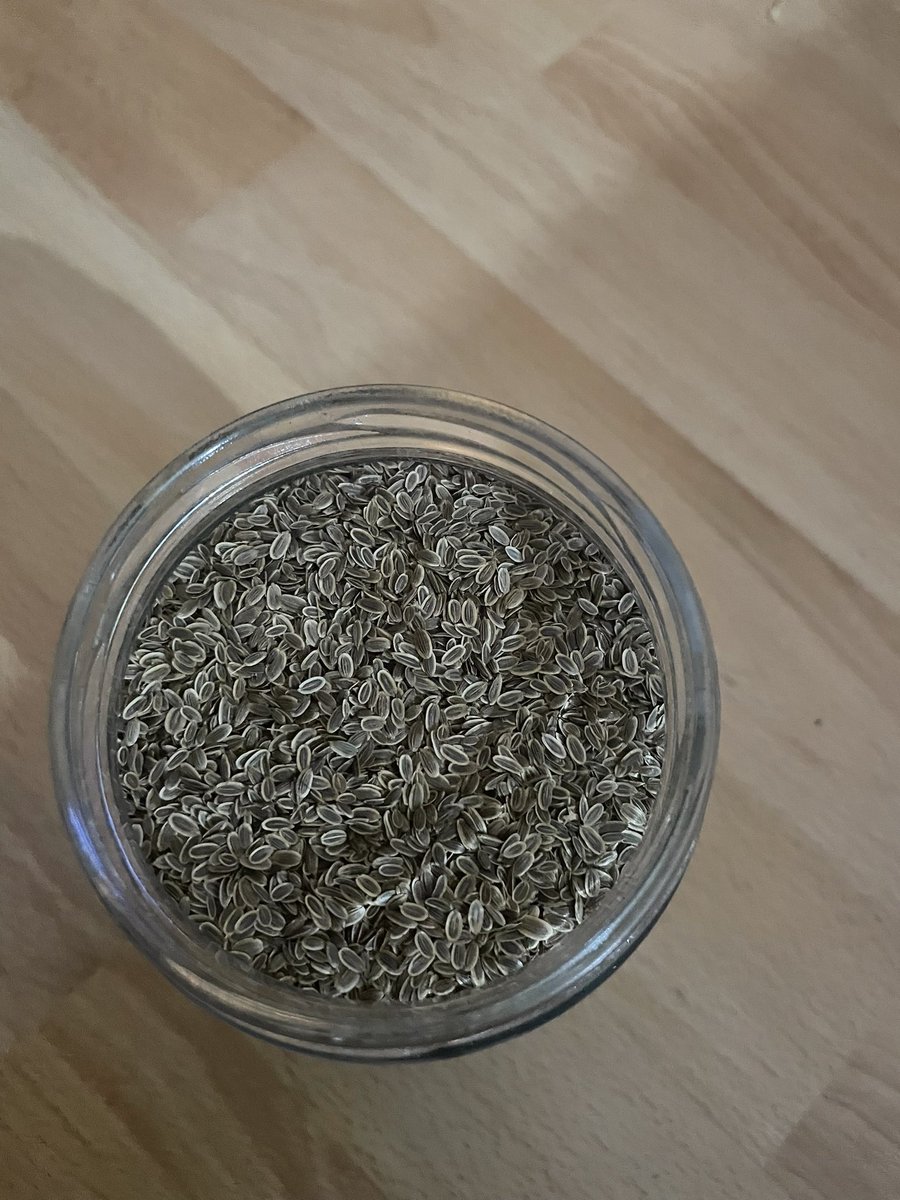 Yarından itibaren saksılara ekeceklere özel en az 200’er adet kıvırcık, maydanoz dereotu ücretsiz ata tohumlarını gönderime başlıyoruz. Tahmini 500’den fazla kişiye yetecek tohumlarımız hazır daha önceden sıraya girip bu üçlüyü isteyenler lütfen buradan bildirir misiniz. Listeye