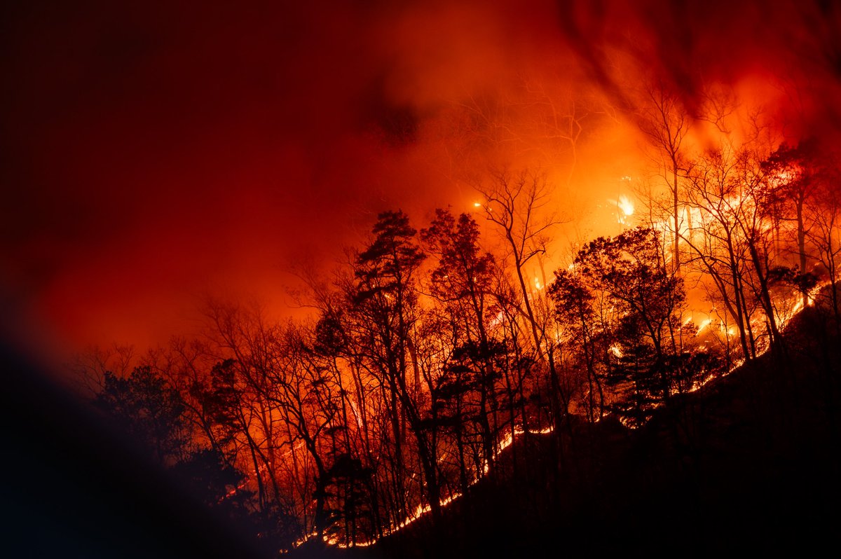 babowling12's tweet photo. Some moments from yesterday covering the Matt’s Creek Fire, just outside of Natural Bridge, Va.  

Look closely for a Leonids meteor burning up above the wildfire, just after sunset. 

📍Snowden, Va https://t.co/OWjZFdeEkv
