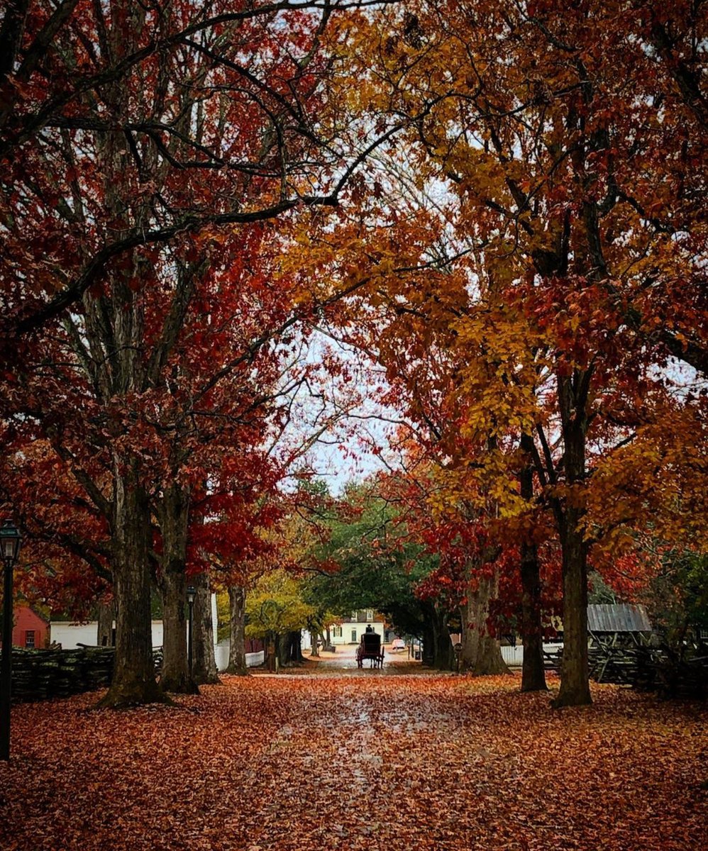 Sometimes all it takes is one photo to make you want to click “Book.” 😍 #VisitWilliamsburg

📸 <a href="/j/">j</a>.eisenhart