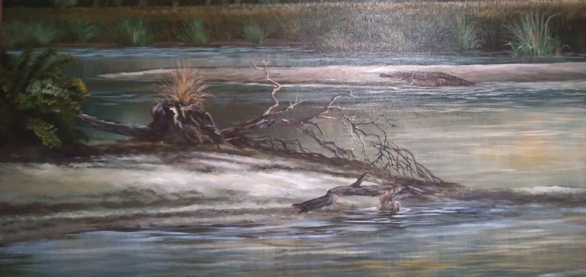 WritingonFire23's tweet image. Writing on Fire     "Let's get involved"

It's no secret that our nation's wildlife and resources are coming under increasing attack! Every day takes us closer to yet another extinction - a precious animal we'll never see again!