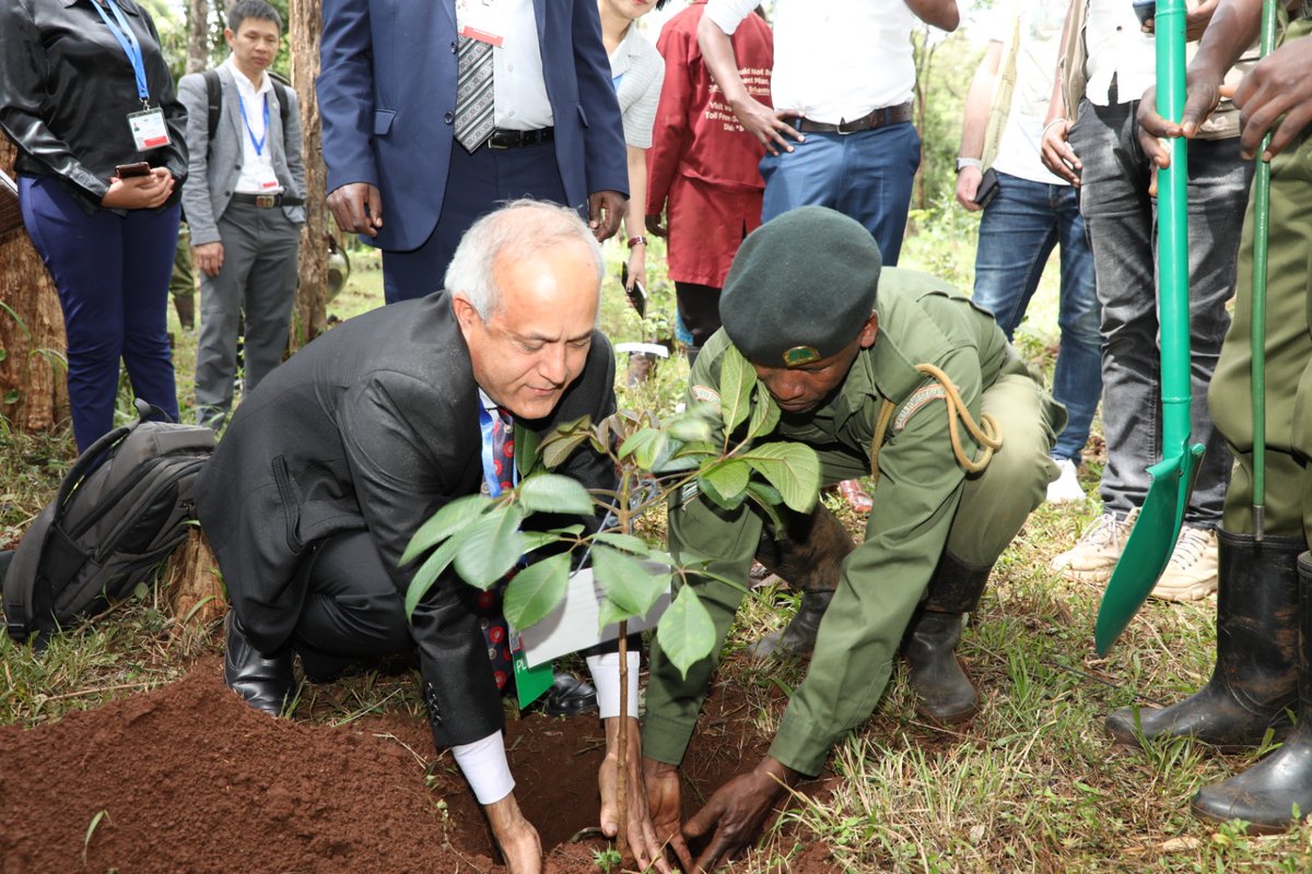 EnviClimateC_Ke's tweet photo. Delegates attending the 3rd Session of the Inter-Governmental Negotiating Committee (INC-3) at the UN Complex in Gigiri, Nairobi today planted trees at Ngong Road Forest as part of their contribution to the #15BillionTrees tree growing programme #INC3 #BeatPlasticPollution https://t.co/iG6u5WS2O3