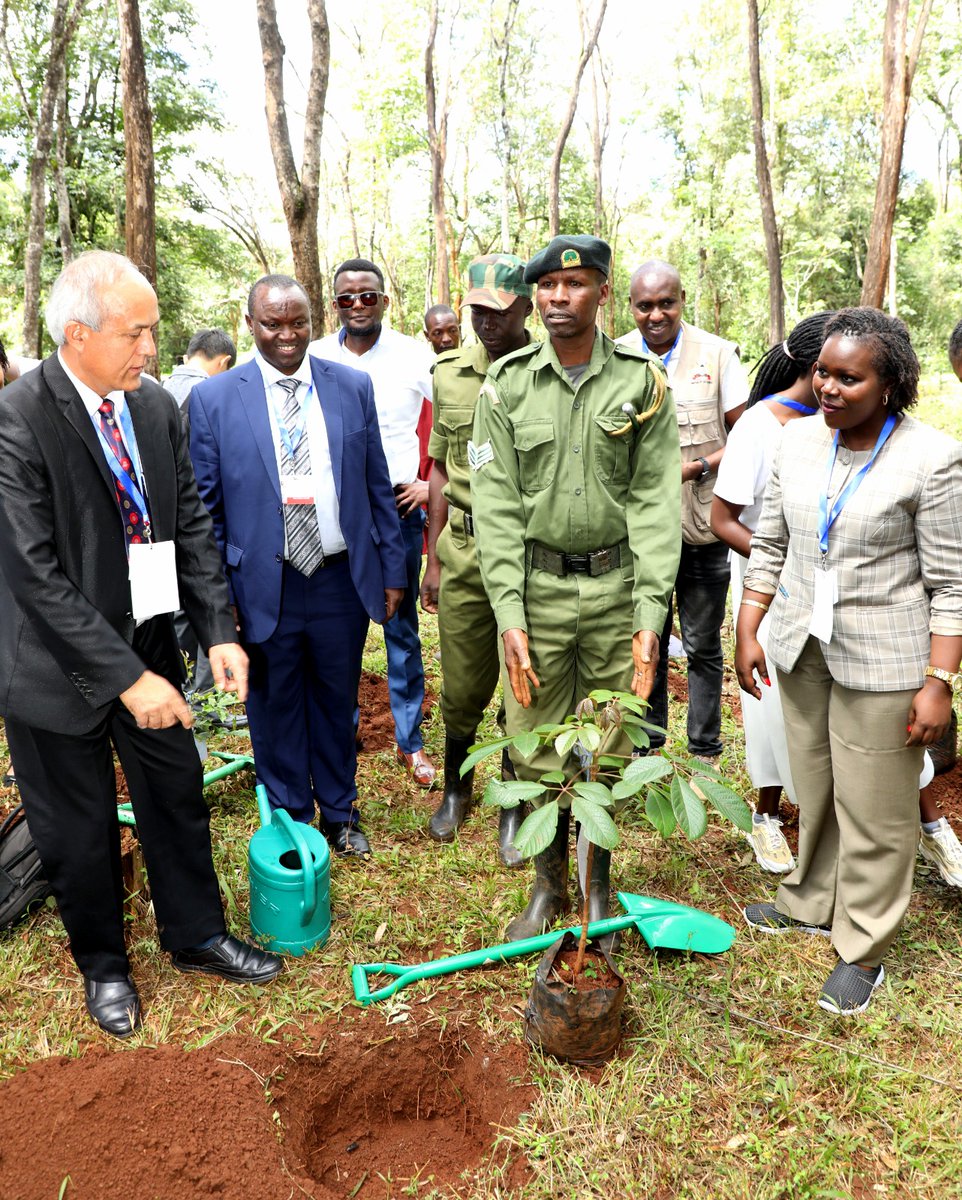 EnviClimateC_Ke's tweet photo. Delegates attending the 3rd Session of the Inter-Governmental Negotiating Committee (INC-3) at the UN Complex in Gigiri, Nairobi today planted trees at Ngong Road Forest as part of their contribution to the #15BillionTrees tree growing programme #INC3 #BeatPlasticPollution https://t.co/iG6u5WS2O3