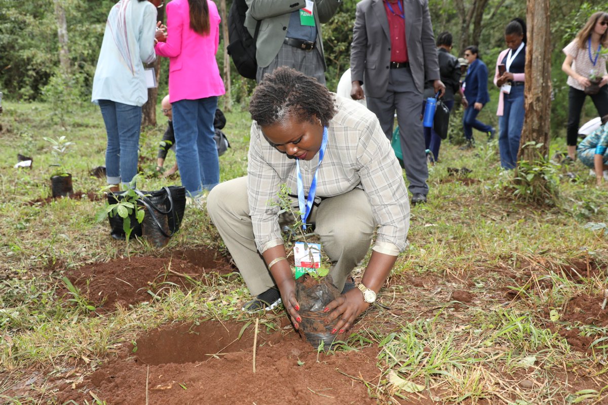 EnviClimateC_Ke's tweet photo. The international delegates were led by the Ministry's Head of Multilateral Environment Agreements (MEAs) Ms Linda Kosgei at the tree growing activity that was also attended by Head of the 15bn Tree Secretariat Dr Vincent Oeba. https://t.co/tv6y3jetOP
