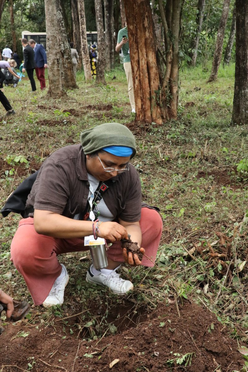 The international delegates were led by the Ministry's Head of Multilateral Environment Agreements (MEAs) Ms Linda Kosgei at the tree growing activity that was also attended by Head of the 15bn Tree Secretariat Dr Vincent Oeba.