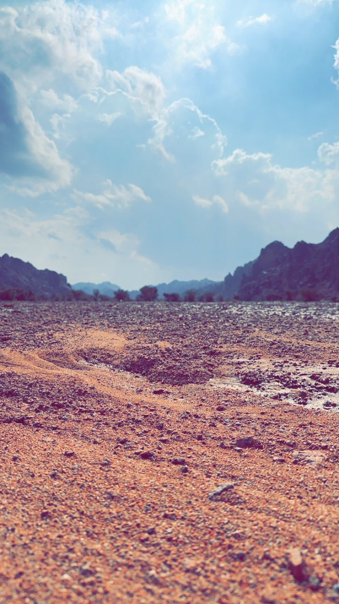 مـــتــ؏ــب الـســبــﮪــان tweet media