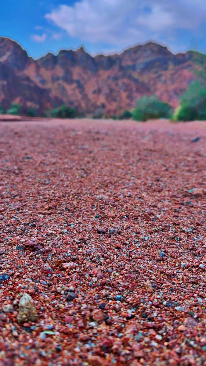 مـــتــ؏ــب الـســبــﮪــان tweet media