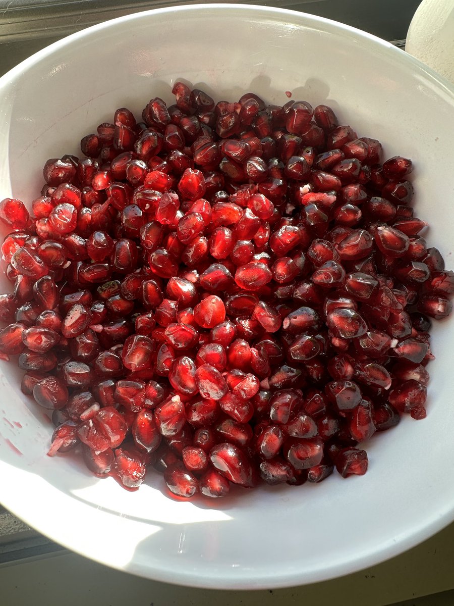 Chairman Birb Bernanke tweet media