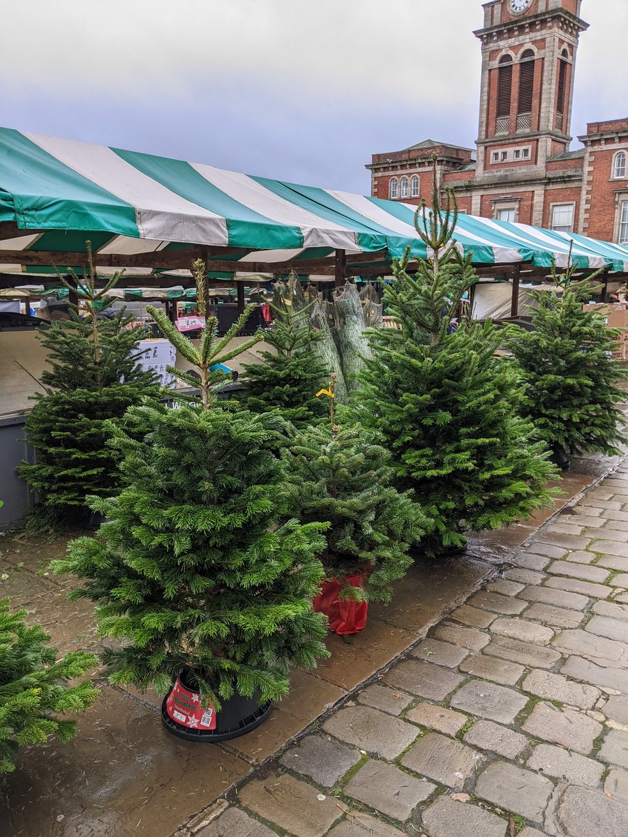 Great trees at Chesterfield Christmas Market. Looking forward to the lights! 
#lovechesterfield #chestefieldmarket
#chesterfieldevents