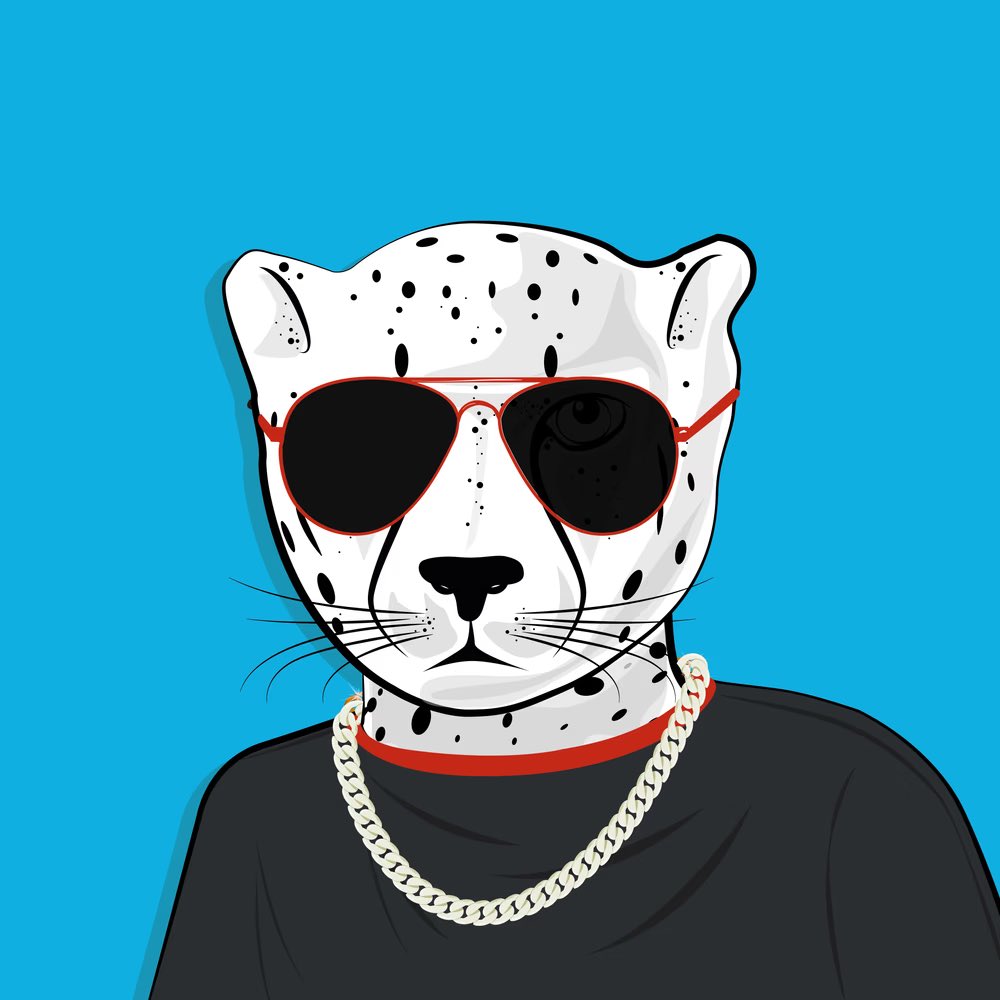 RichCheetah tweet media